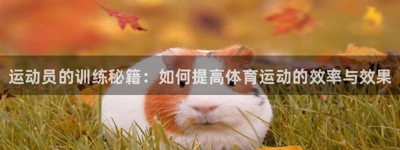 凯发官方正版app集团官网网址:运动员的训练秘籍:如何提高体