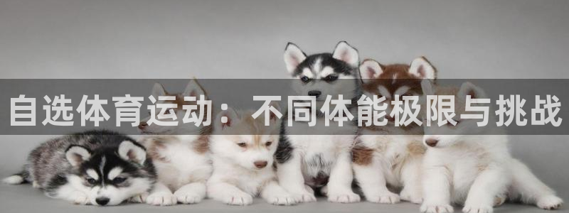 凯发官网下载招商电话地址查询:自选体育运动:不同体能极限与挑