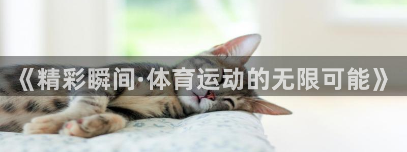 凯发官方正版app集团简介:《精彩瞬间·体育运动的无限可能》