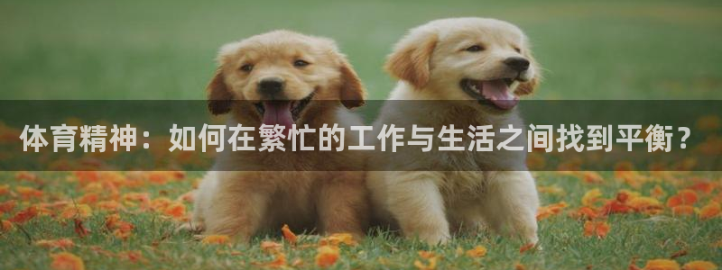 凯发官方正版app集团官网首页:体育精神:如何在繁忙的工作与