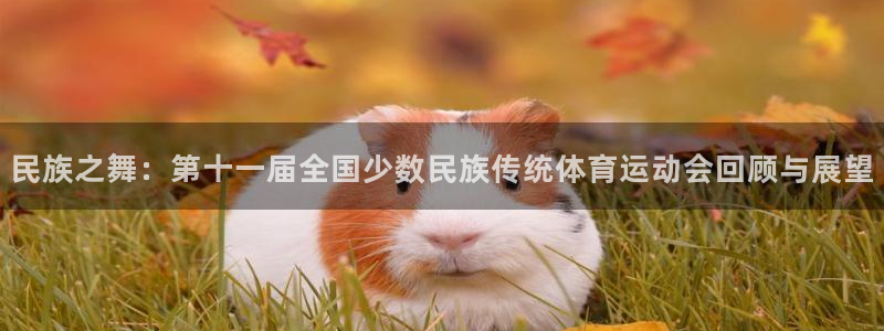 凯发官方正版app集团简介:民族之舞:第十一届全国少数民族传