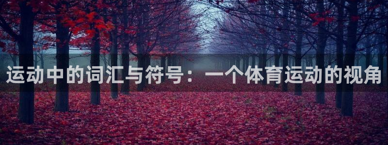 凯发官网下载平台注册:运动中的词汇与符号:一个体育运动的视角