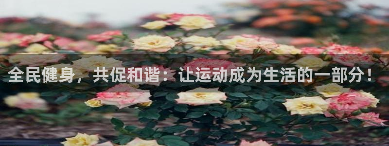 凯发官方正版app新能源:全民健身,共促和谐:让运动成为生活
